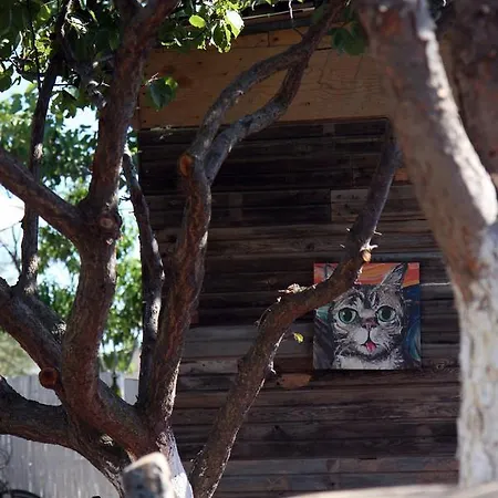 Kalidna ホテル 3*