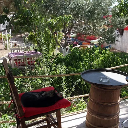 ホテル Kalidna 3*