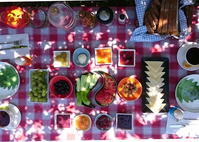 호텔 Kalidna 보즈자아다